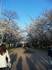 20100403-4.jpg