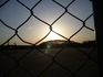 20100403-5.jpg